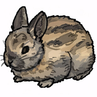 萝莉社内容价值观页面中温柔可爱的漫画女孩插画